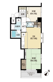 南東角部屋で日当たり◎
