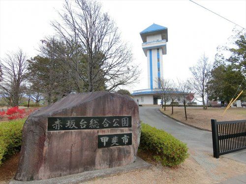 赤坂台総合公園(ドラゴンパーク)