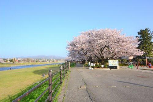 犀川緑地
