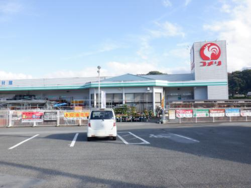 コメリーハード＆グリーン六郷店