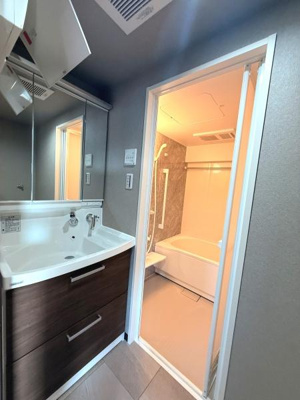 清潔感のある洗面台が設置されています。ミラー収納が充実し日常使いに便利な仕様です。バスルームと隣接しており動線にも配慮された配置です。落ち着いた色合いが空間に調和しています。