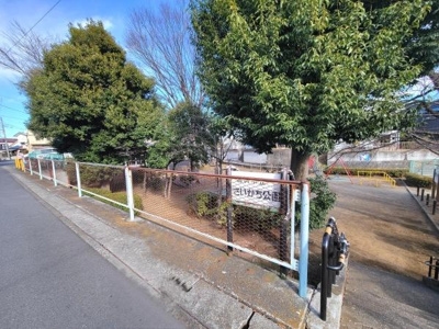 近隣のさいかち公園