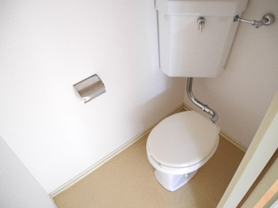 落ち着いた色調のトイレです