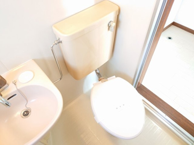 落ち着いた色調のトイレです