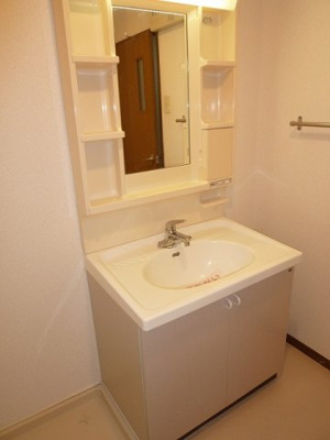 忙しい朝には欠かせない洗面所です