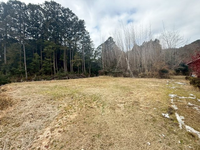 【現地写真】
2026年3月に撮影しました