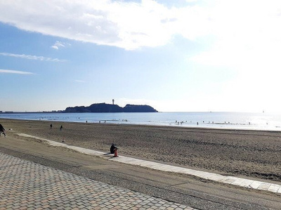鵠沼海岸まで600m
