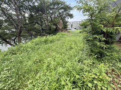 緑豊かな自然に囲まれた外観が印象的です。周囲には木々が生い茂っており落ち着いた雰囲気を感じられます。敷地が広く開放感のある空間となっています。道路や建物までの距離も確保されています。