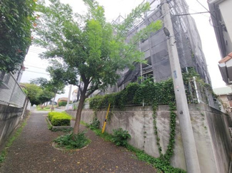 前面道路はしっかりと舗装されており車両の出入りもスムーズです。周辺は住宅が並び落ち着いた環境が広がっています。電線や街路樹も整然と配置されています。