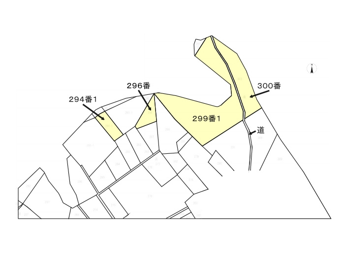 土地図