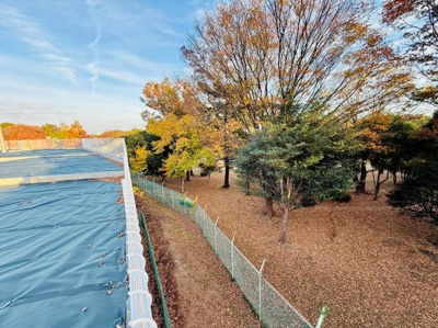 広がる敷地と豊かな緑が特徴の現地土地写真です。周囲には季節を感じられる木々が並び自然を身近に感じる環境です。フェンスでしっかりと囲われているため安心感もあります。開放的な空間を求める方におすすめです。