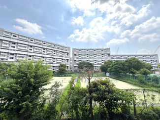 周辺に高い建物が少なく、豊かな緑と開放感のある眺望が広がります。
開放感と安らぎをもたらすお部屋で快適な新生活を♪