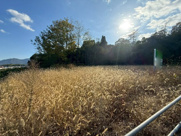 黒瀬楢原西2丁目の画像