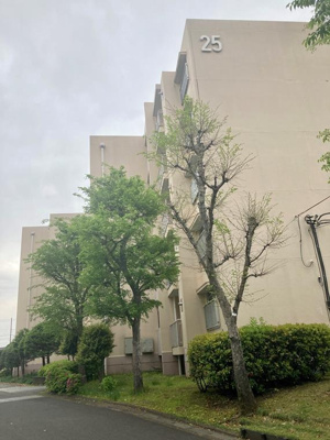 落ち着いた雰囲気の外観です