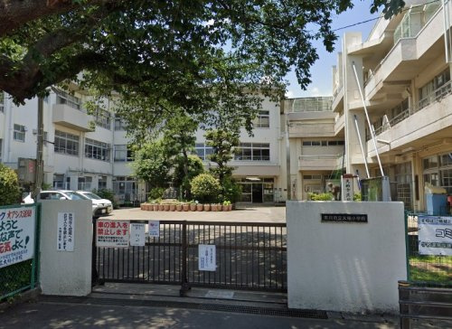 市川市立大柏小学校