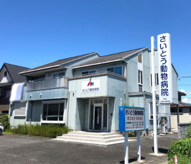 さいとう動物病院
