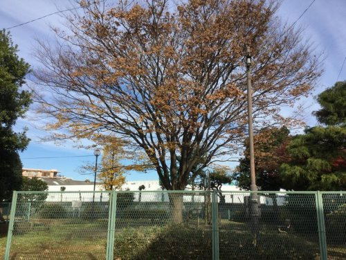神台まちかど公園