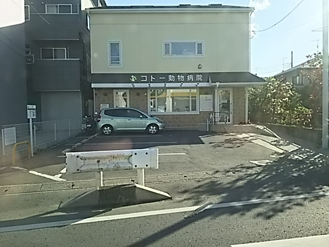 コトー動物病院