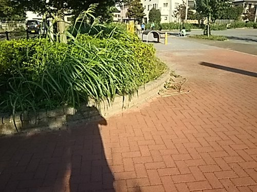 公園