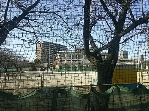 さいたま市立与野八幡小学校