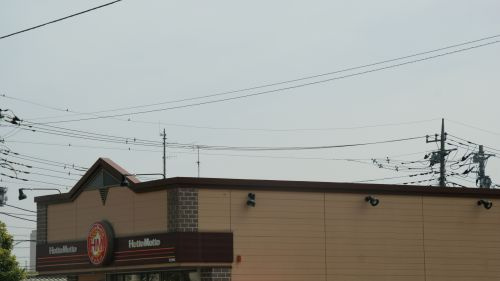 ほっともっと羽生東店