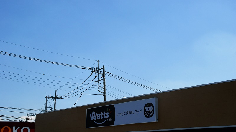 ワッツウィズ行田門井店