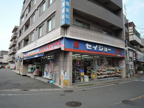 くすりセイジョー 沼部店