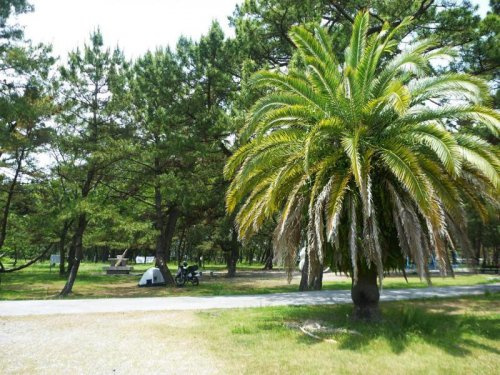 種崎千松公園