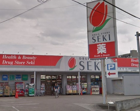 ドラッグストアセキ上小町店