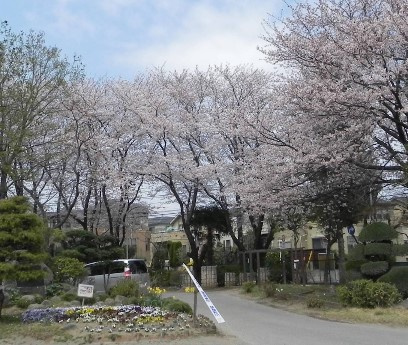 柏市立柏第八小学校