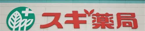 スギ薬局ミエル川口店