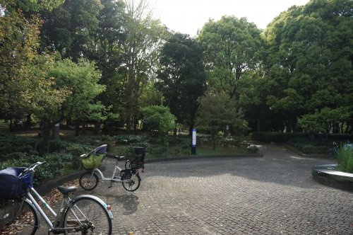 茅ヶ崎中央公園