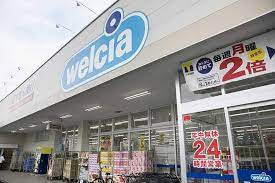 ウエルシア守谷ひがし野店