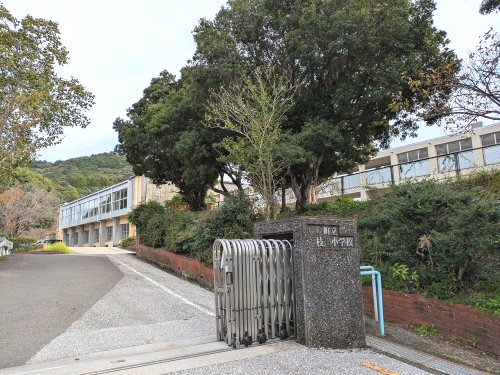 いの町立枝川小学校