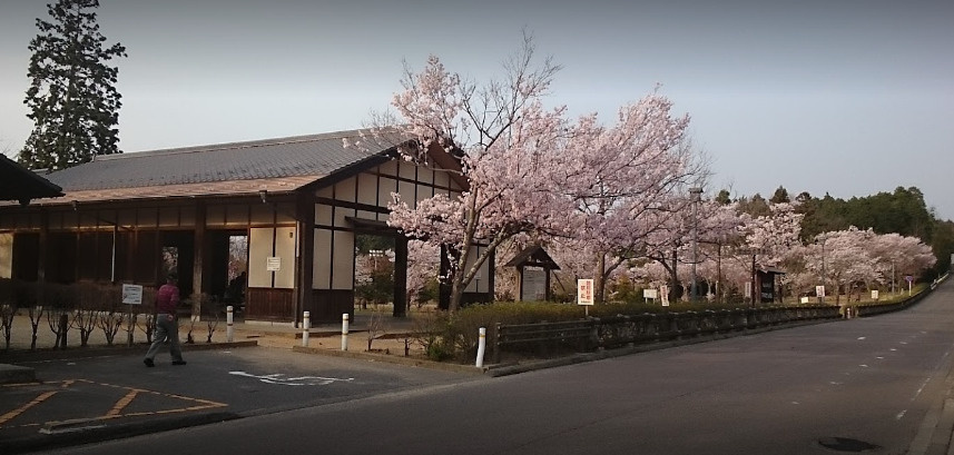 東山森林公園　下米田さくらの森