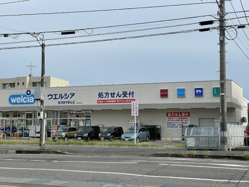 ウエルシア 新潟東中野山店