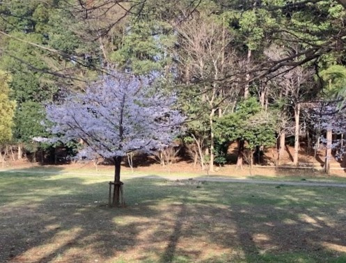 三輪野山近隣公園