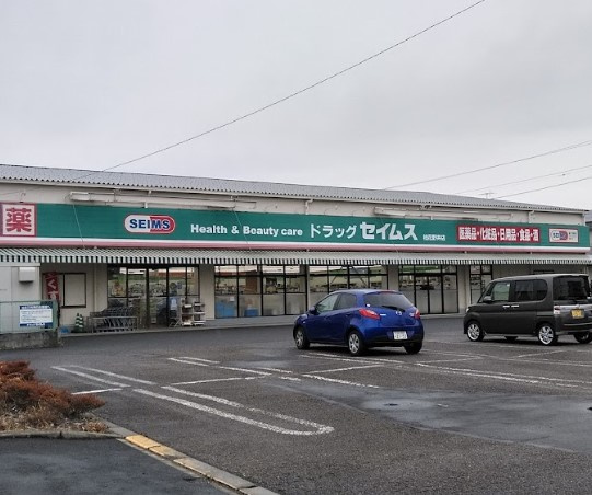 ドラッグセイムス 柏花野井店