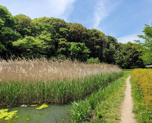 根木内歴史公園