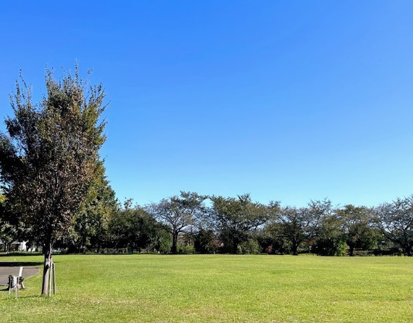 中原ふれあい防災公園