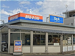 ビッグ・エー 松戸八ケ崎店