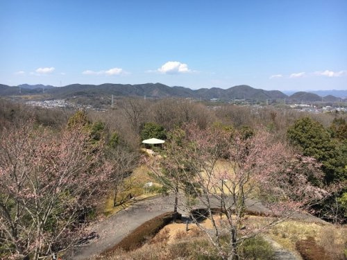 可児やすらぎの森