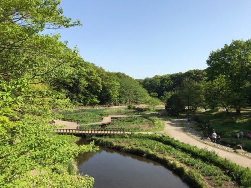 泉の森