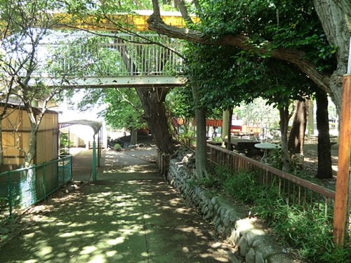 まこと幼稚園
