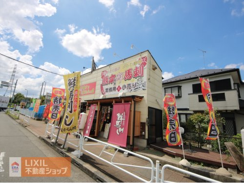 熊本 鮮馬刺し よかもん市場