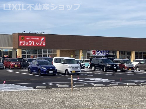 ドラッグトップス