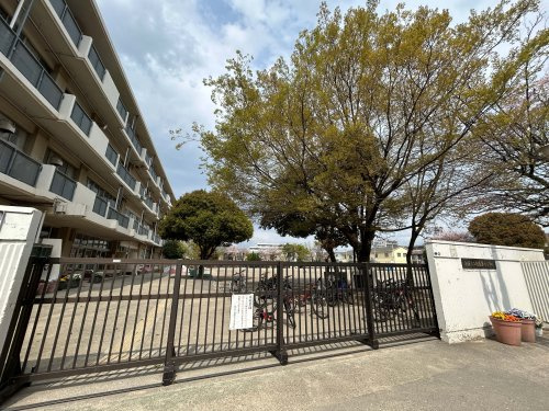 朝霞市立朝霞第七小学校