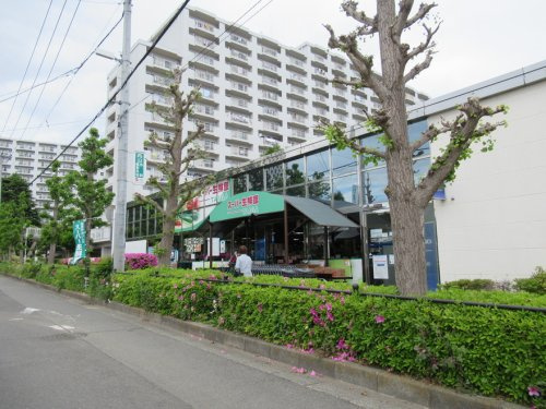 スーパー生鮮館TAIGA(タイガ) 座間店