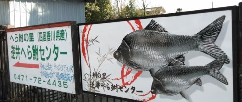 逆井へら鮒センター