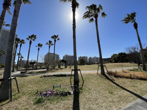 明海の丘公園